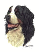 Image of dogdecor_1867_216759866.gif